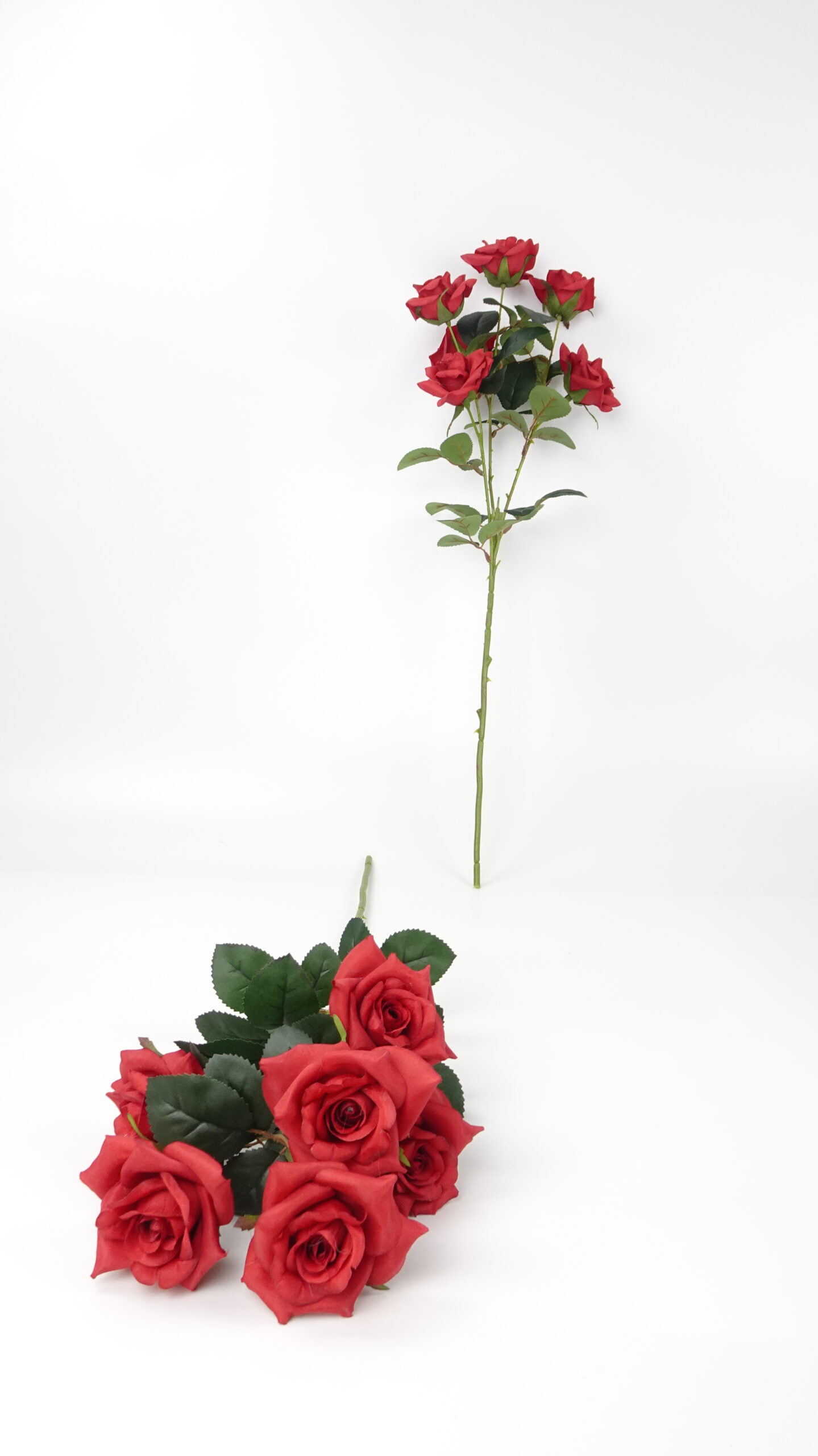 款式图片：5#红色