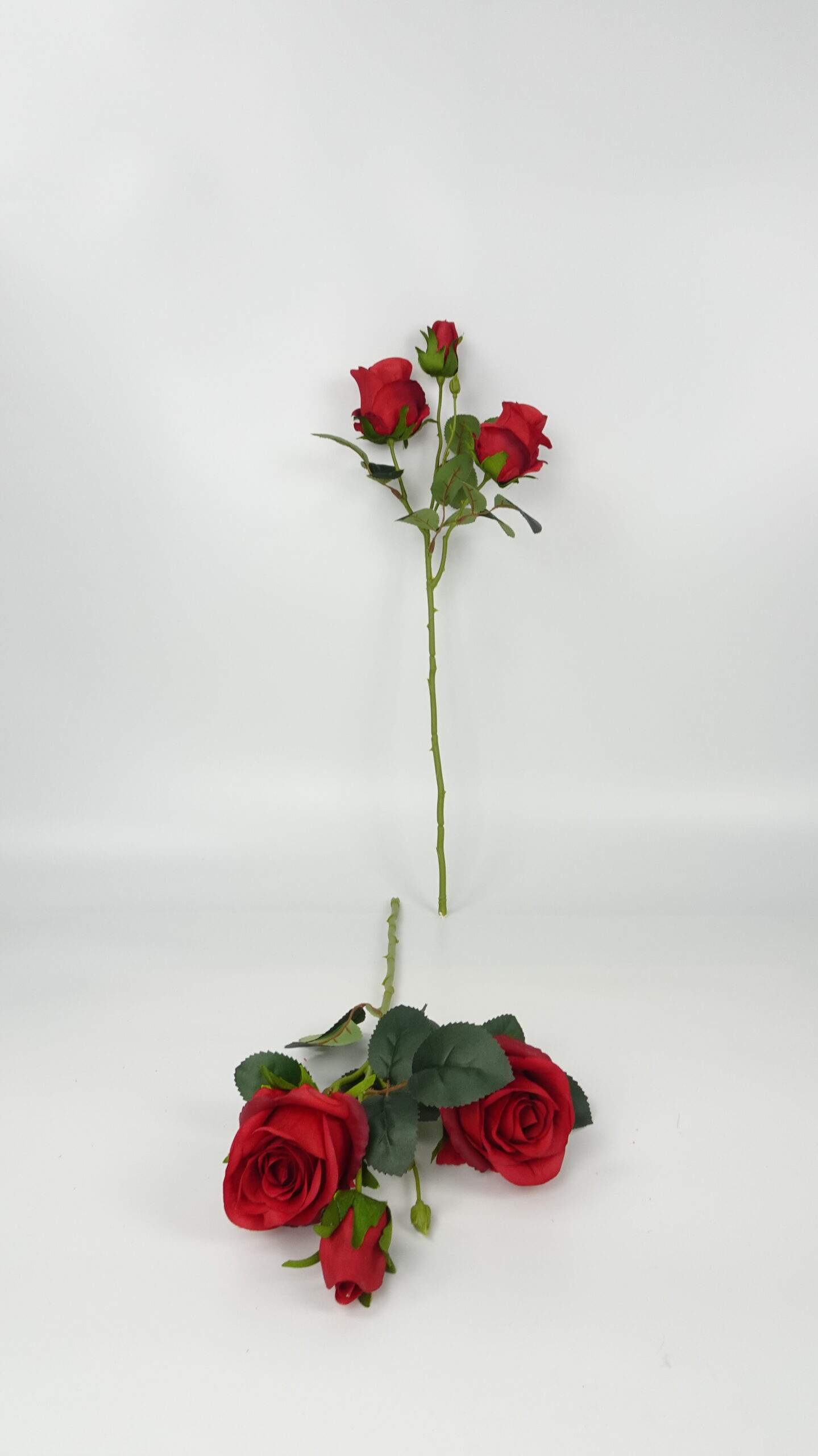 款式图片:8#红色