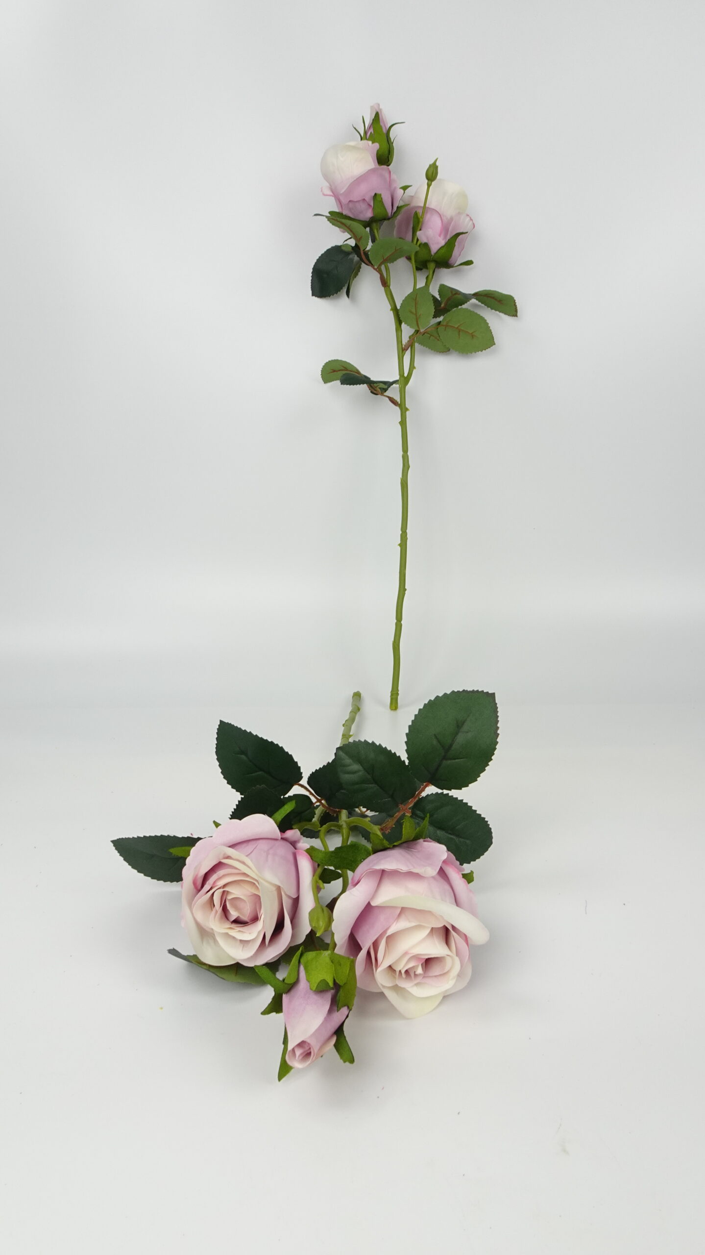 款式图片:10#浅紫