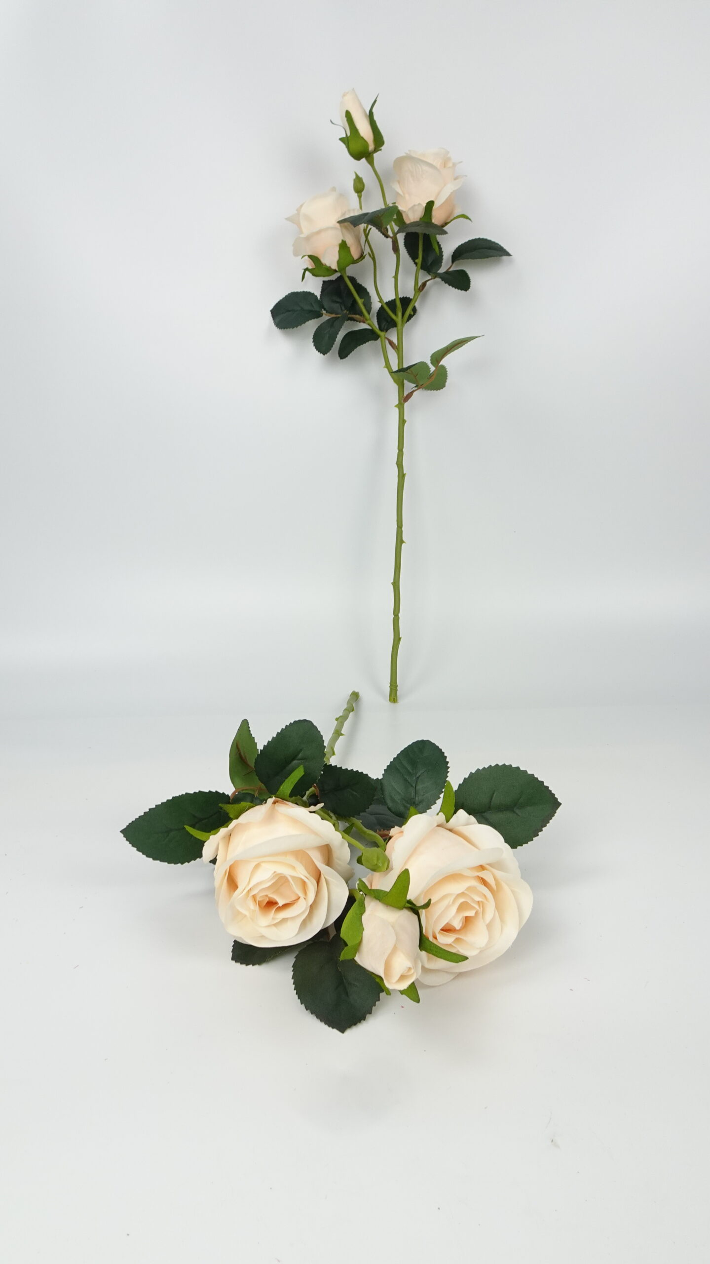 款式图片:6#香槟色